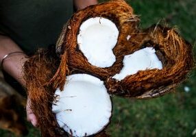 coconut split